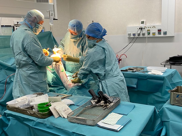 Chirurgie orthopédique du genou à Saint-Saulve