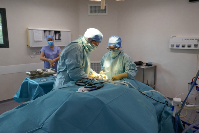 Chirurgie orthopédique du épaule à Saint-Saulve